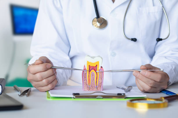 Best Urgent Care for Lost Fillings or Crowns in Julian, CA